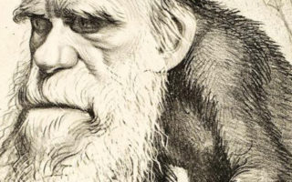”Min Fader var en Abekat … Tipoldefar – ja han var Dynd” Fønix genudgiver om Darwin, evolutionslæren og teologien